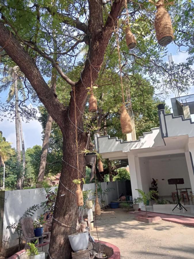 Green Star Villa Jaffna Oda fotoğraf